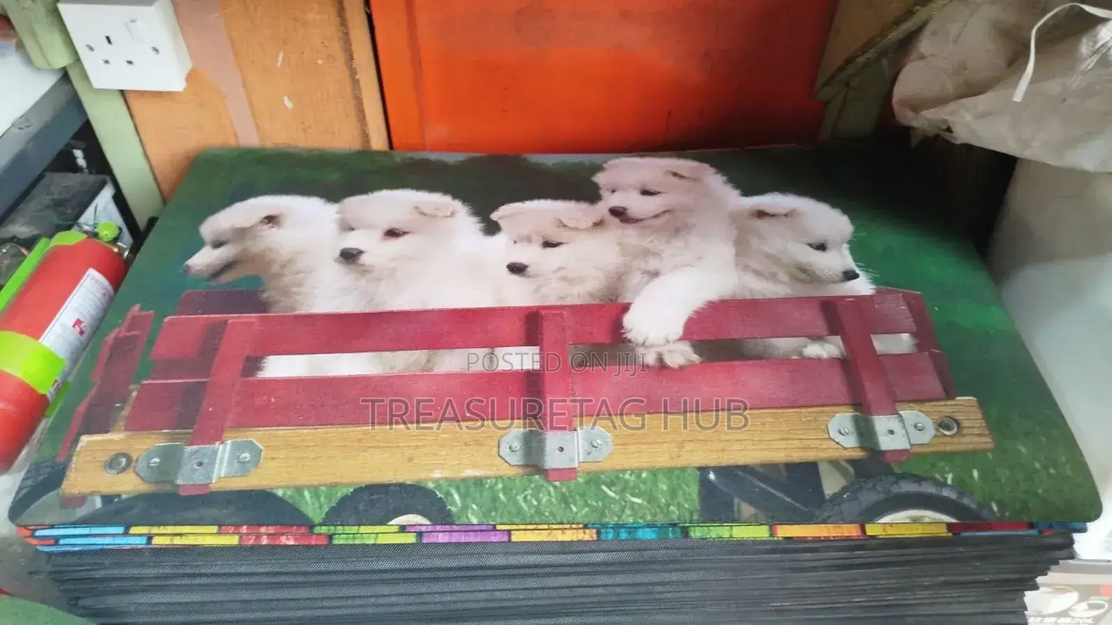 Unique Door Mat