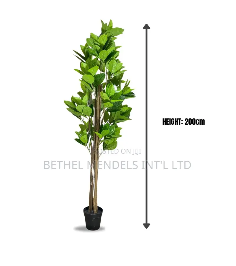 Artificial Decorative Fiddle Tree (Height: 200cm)