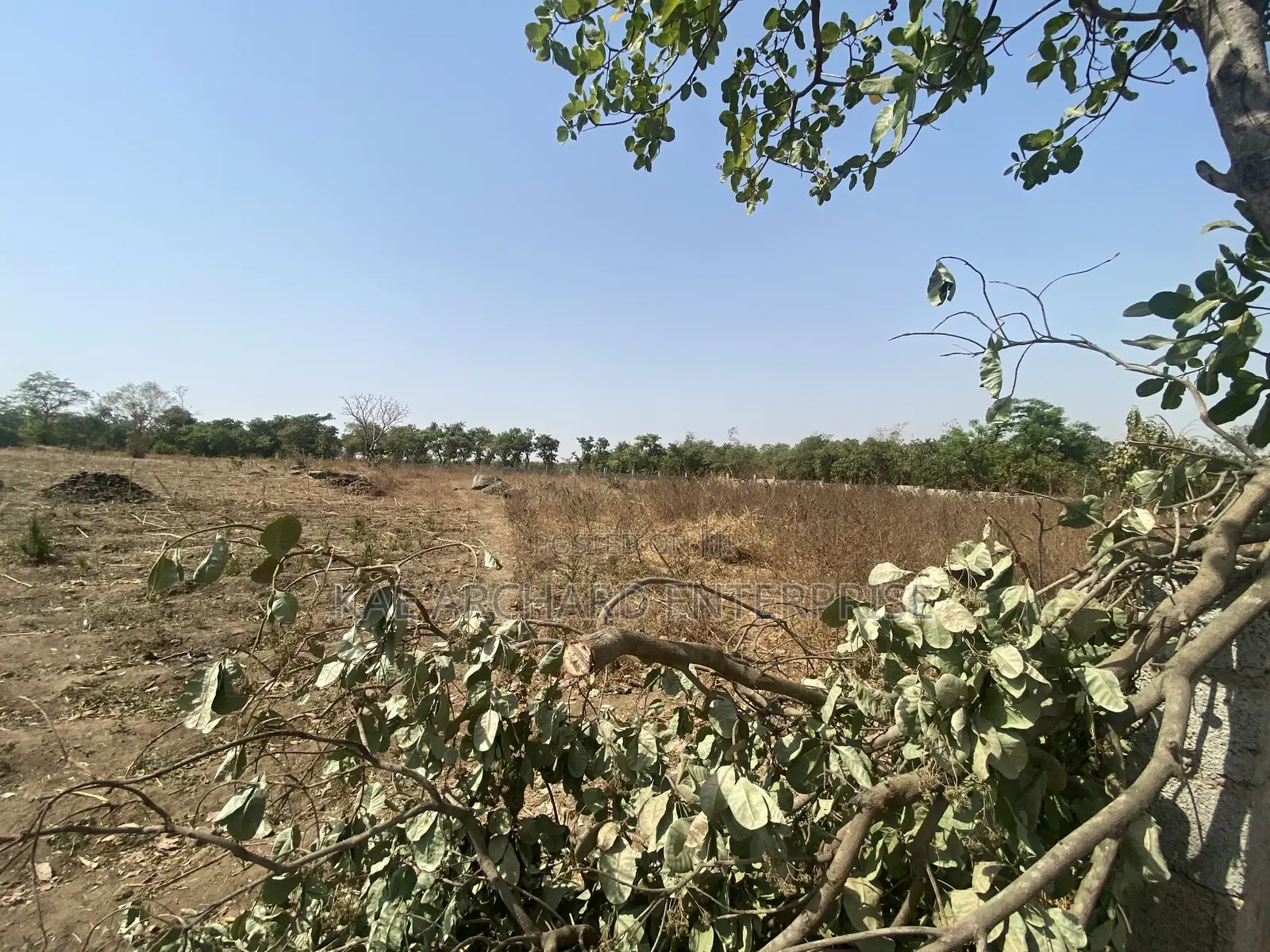 Commercial Land for Sale