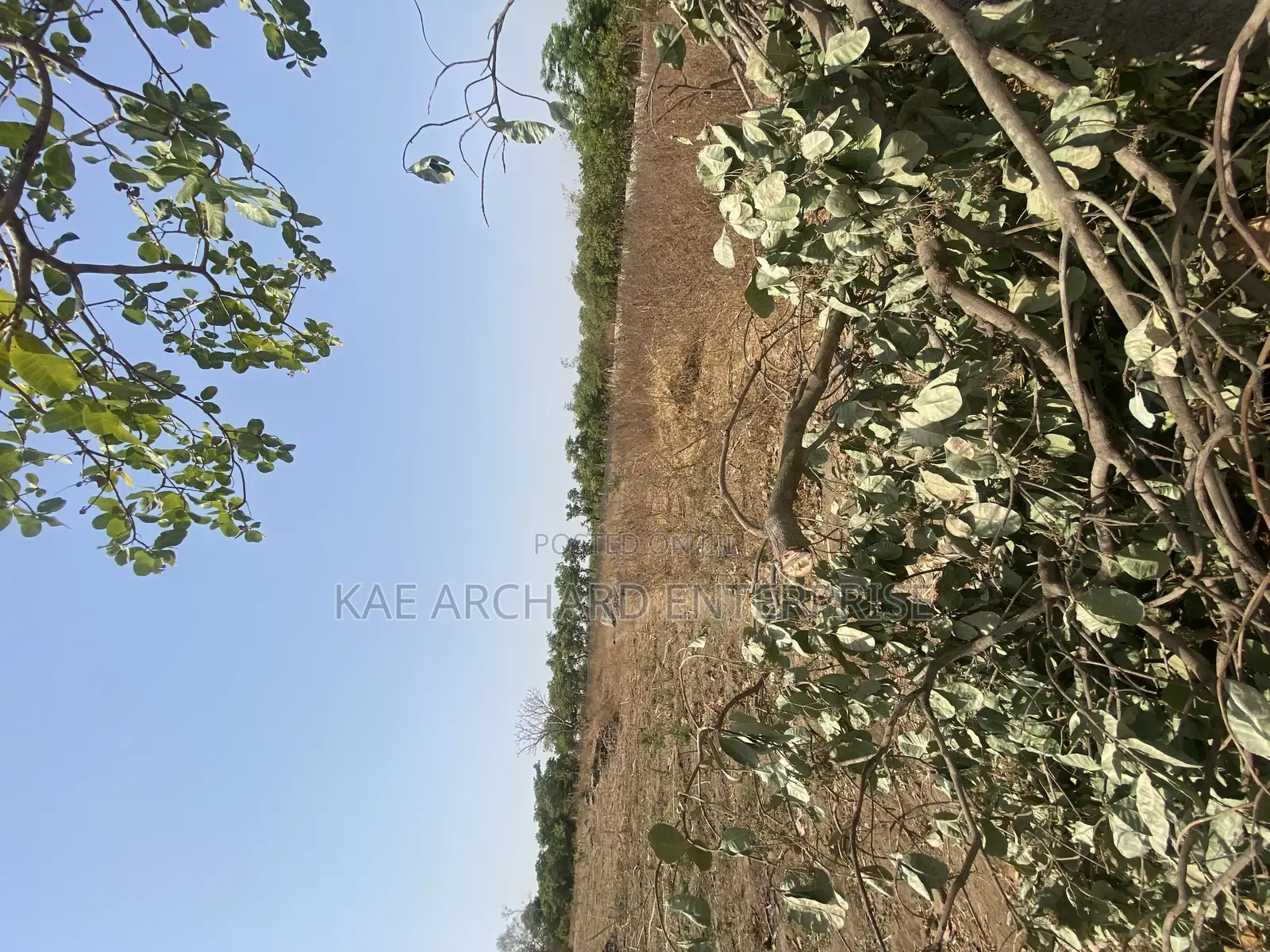 Commercial Land for Sale