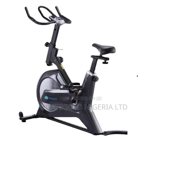 GA-25001 Spin Bike (Gategold Brand)