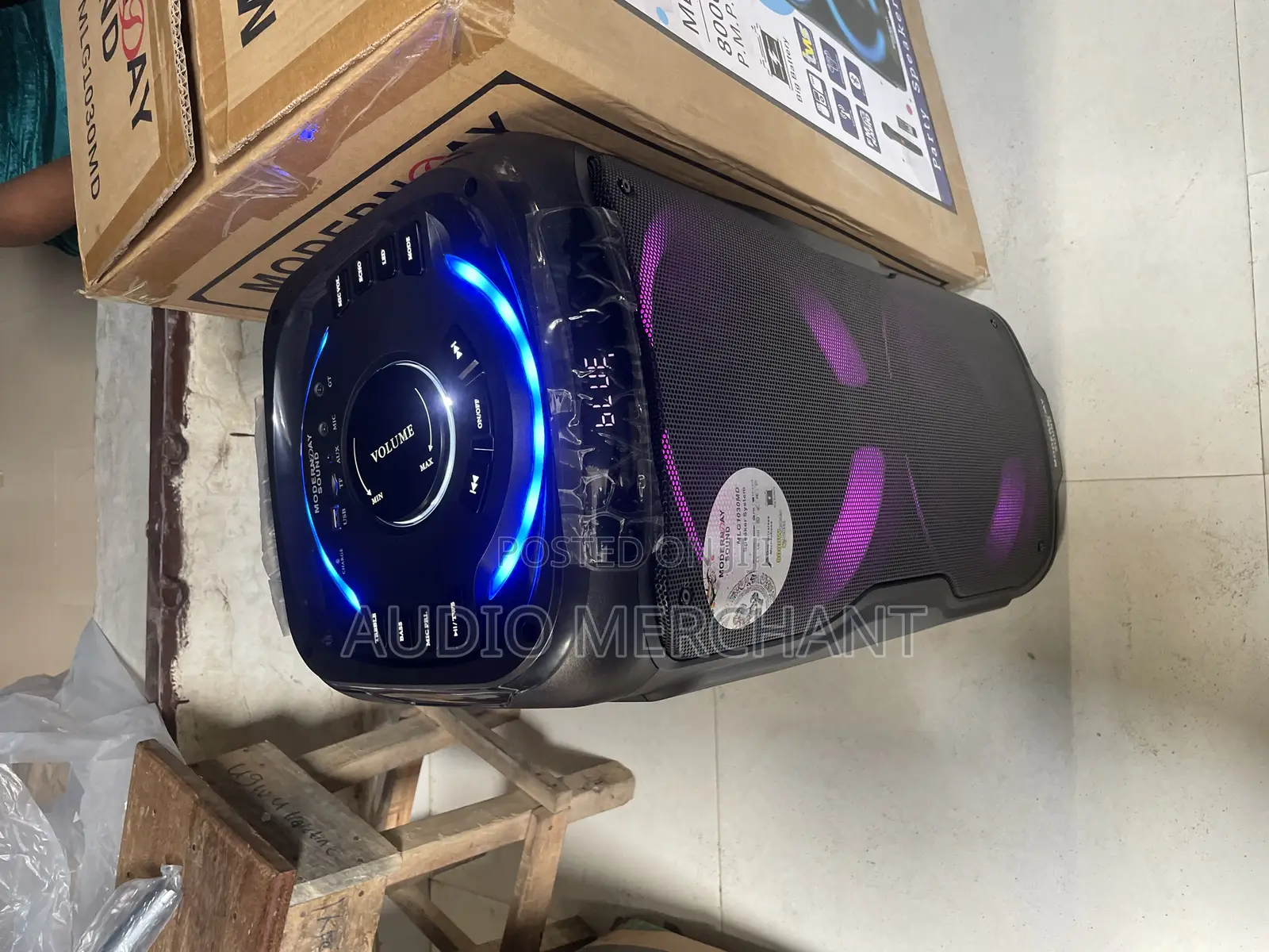 Public Address System With Dual Wireless Microphone