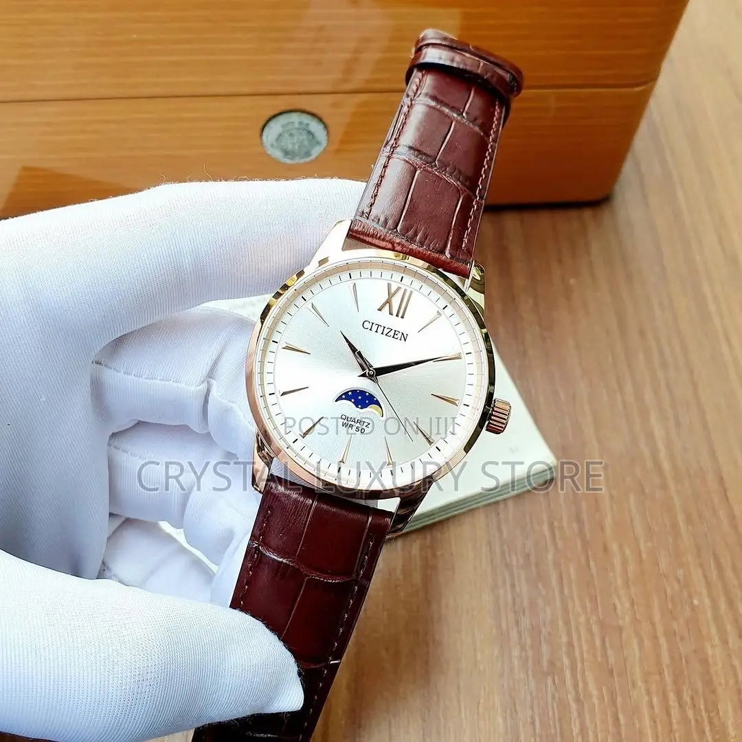 Authentic Citizen Genuine Leather Wristwatch