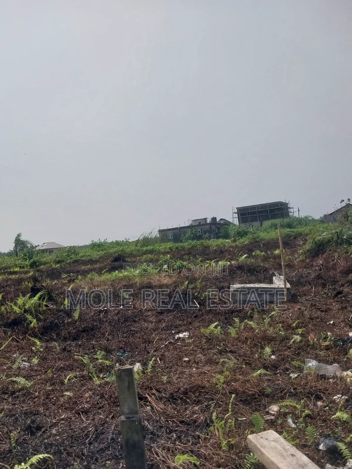 30ft by 120ft Ijegun Festac New Link Near Rd