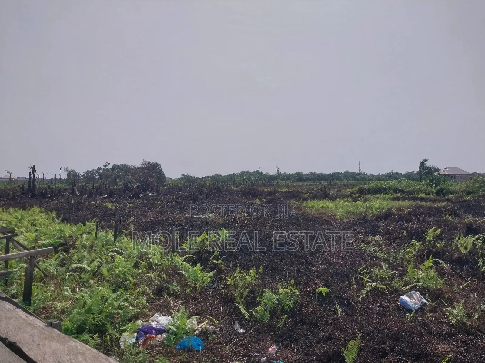 120ft by 60ft Full Plot Ijegun Lasu Link Verified