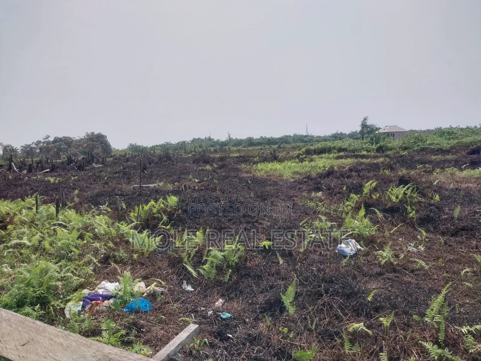 120ft by 60ft Full Plot Ijegun Lasu Link Verified