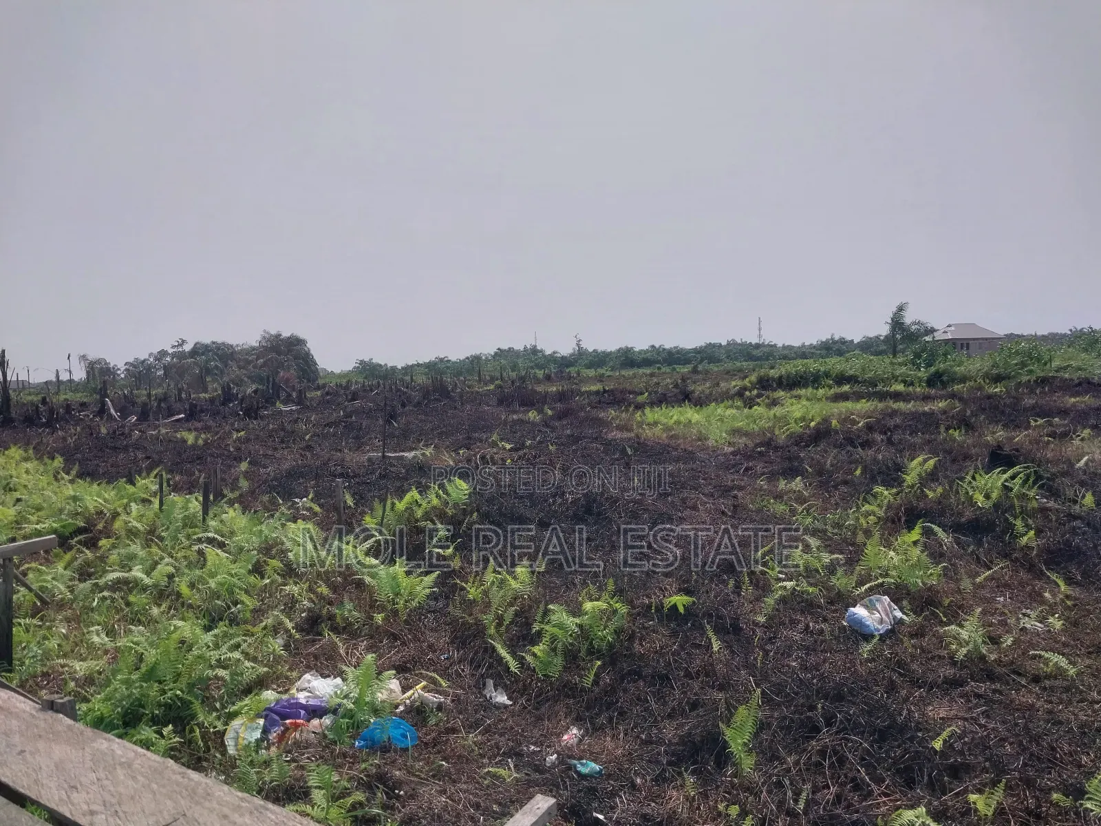 120ft by 60ft Full Plot Ijegun Lasu Link Verified