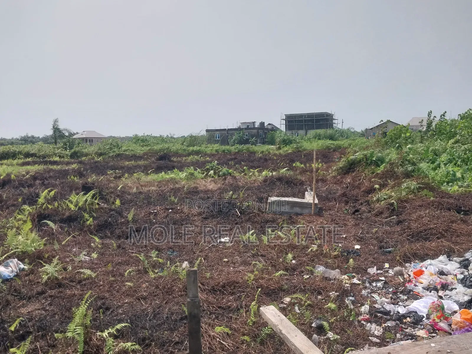 120ft by 60ft Full Plot Ijegun Lasu Link Verified
