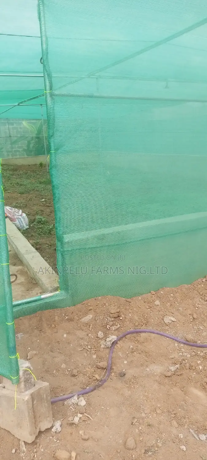 Green House Construction