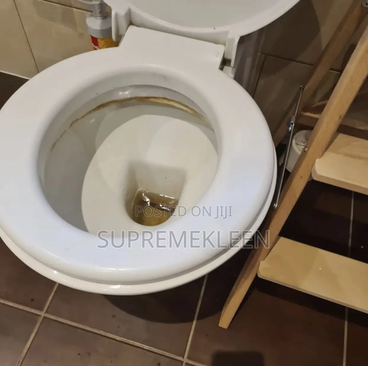 Toilet/Wc Cleaning Service ๐ฏ