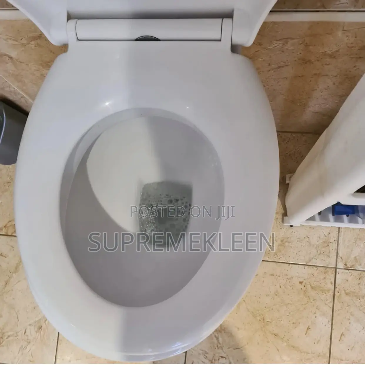 Toilet/Wc Cleaning Service ๐ฏ