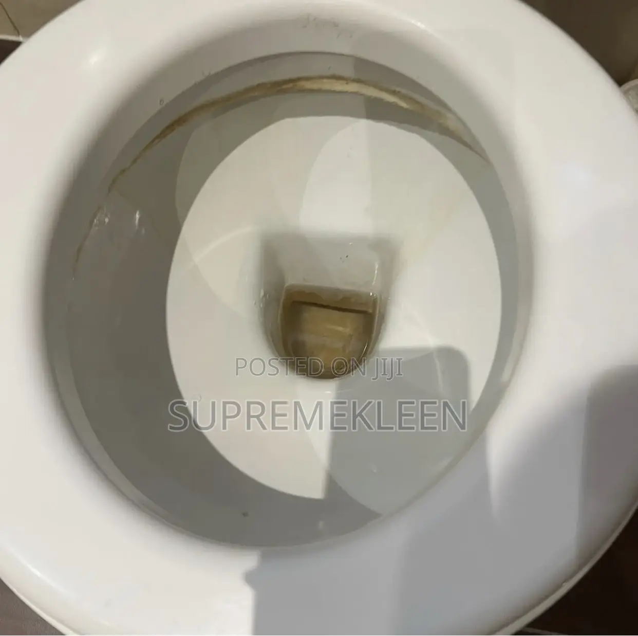 Toilet/Wc Cleaning Service ๐ฏ
