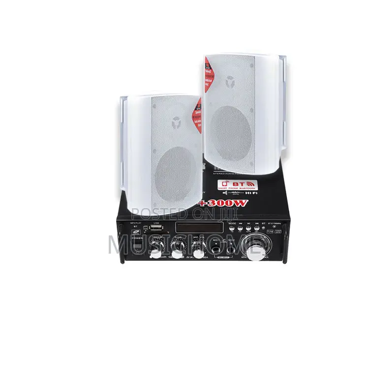 Portable Bluetooth Amplifier and 2pcs Wall Mount Speaker