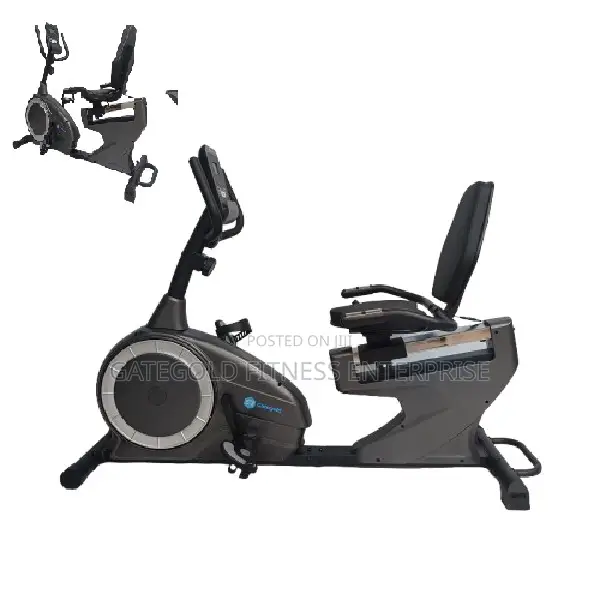 Recumbent Bike