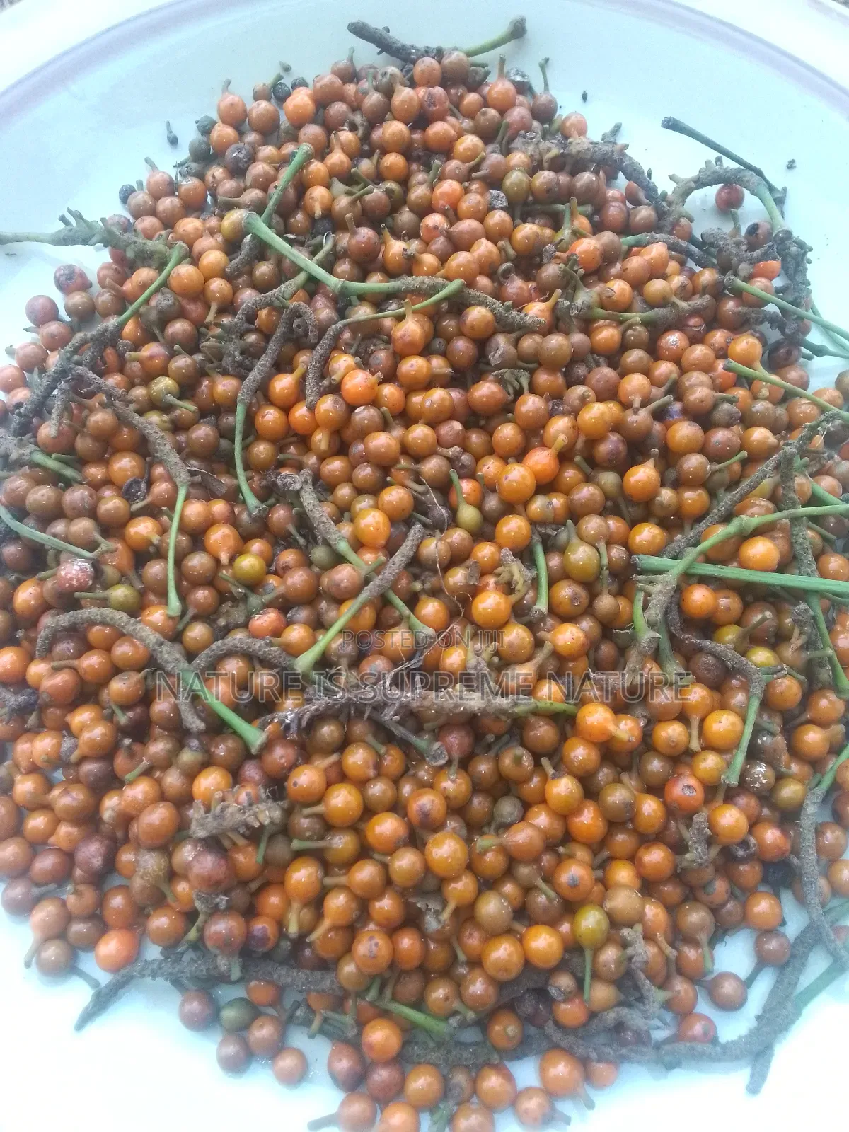 Herbs for Hepatitis