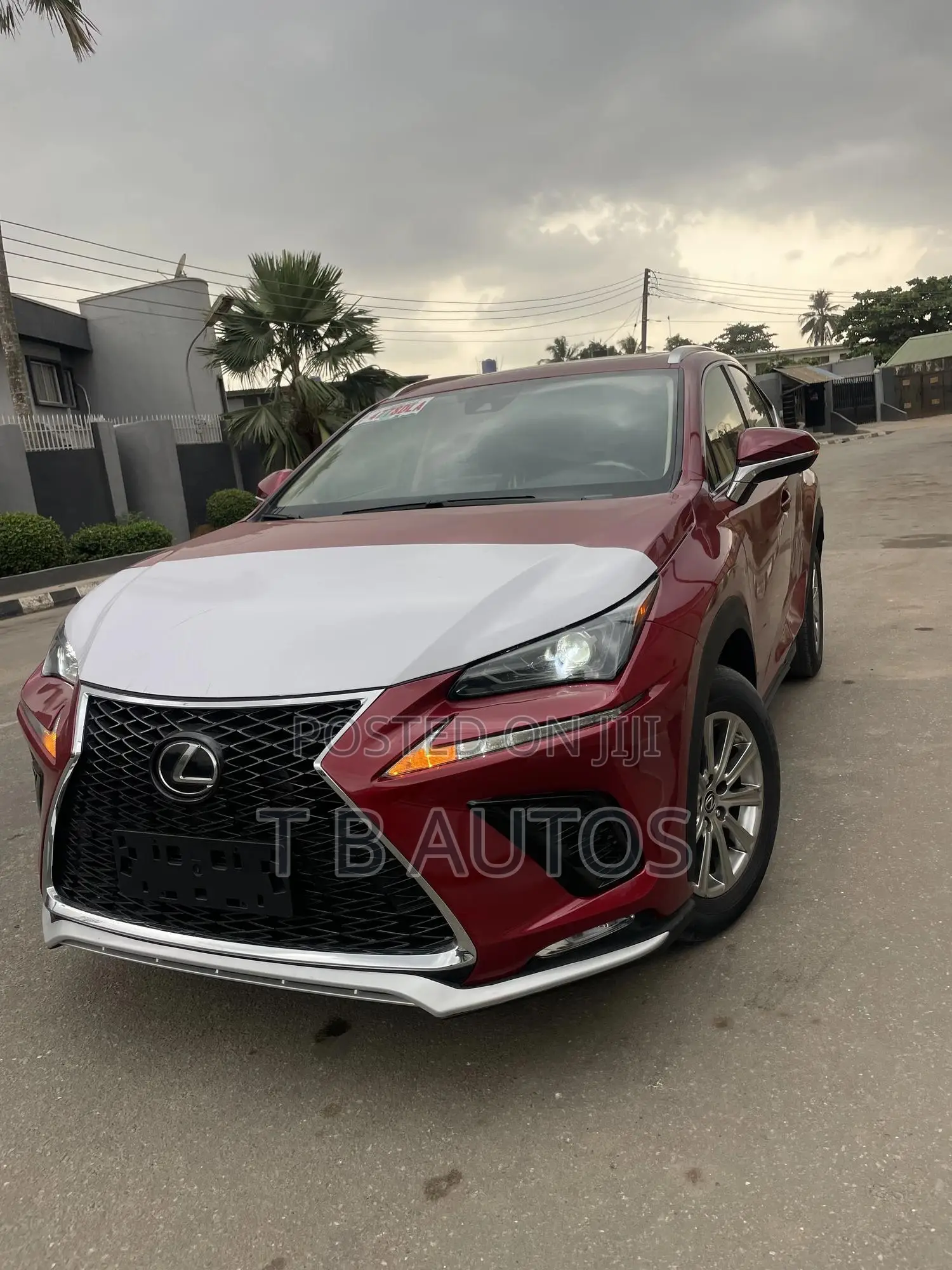Lexus NX 300 AWD 2020 Red