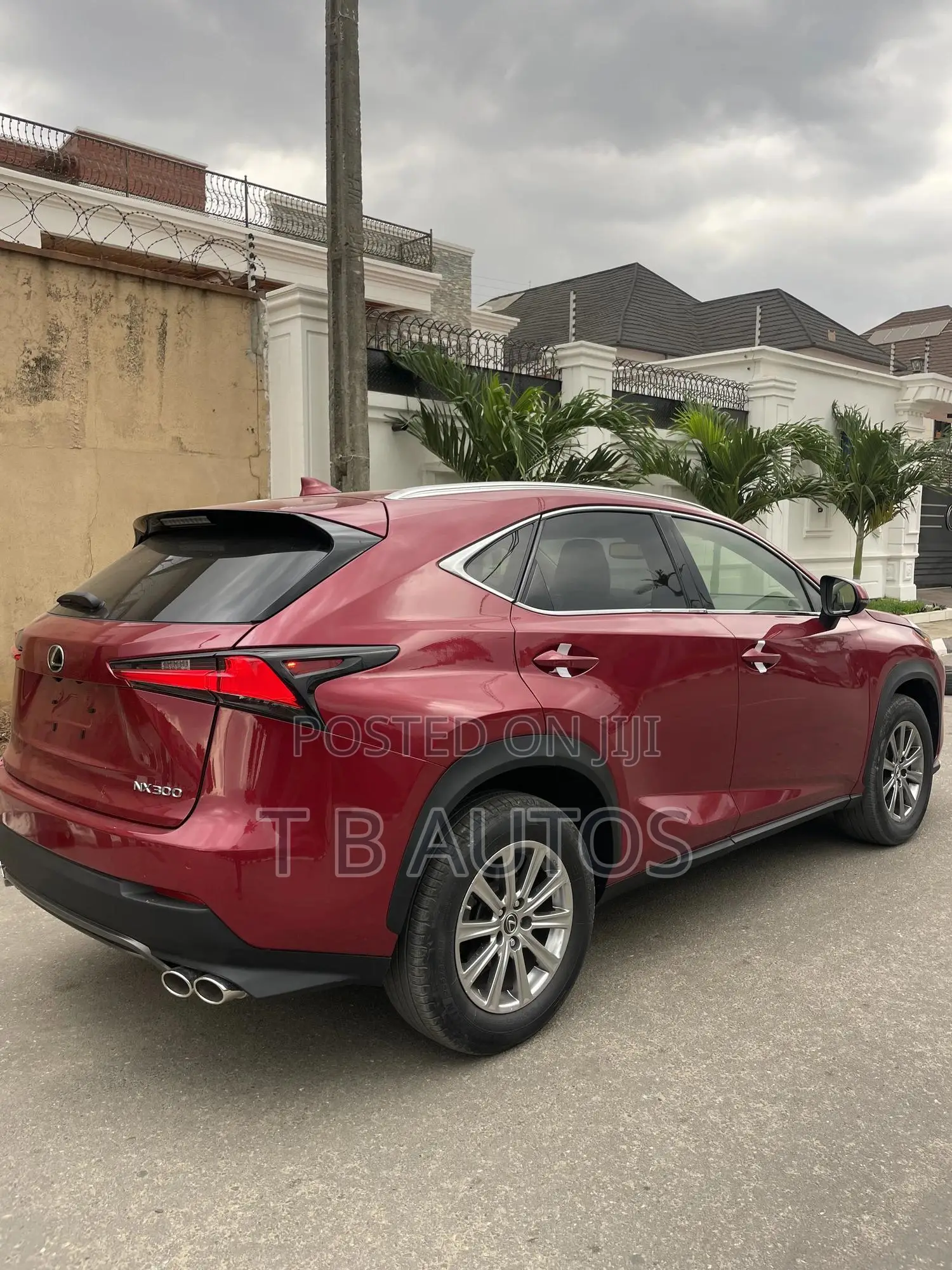 Lexus NX 300 AWD 2020 Red