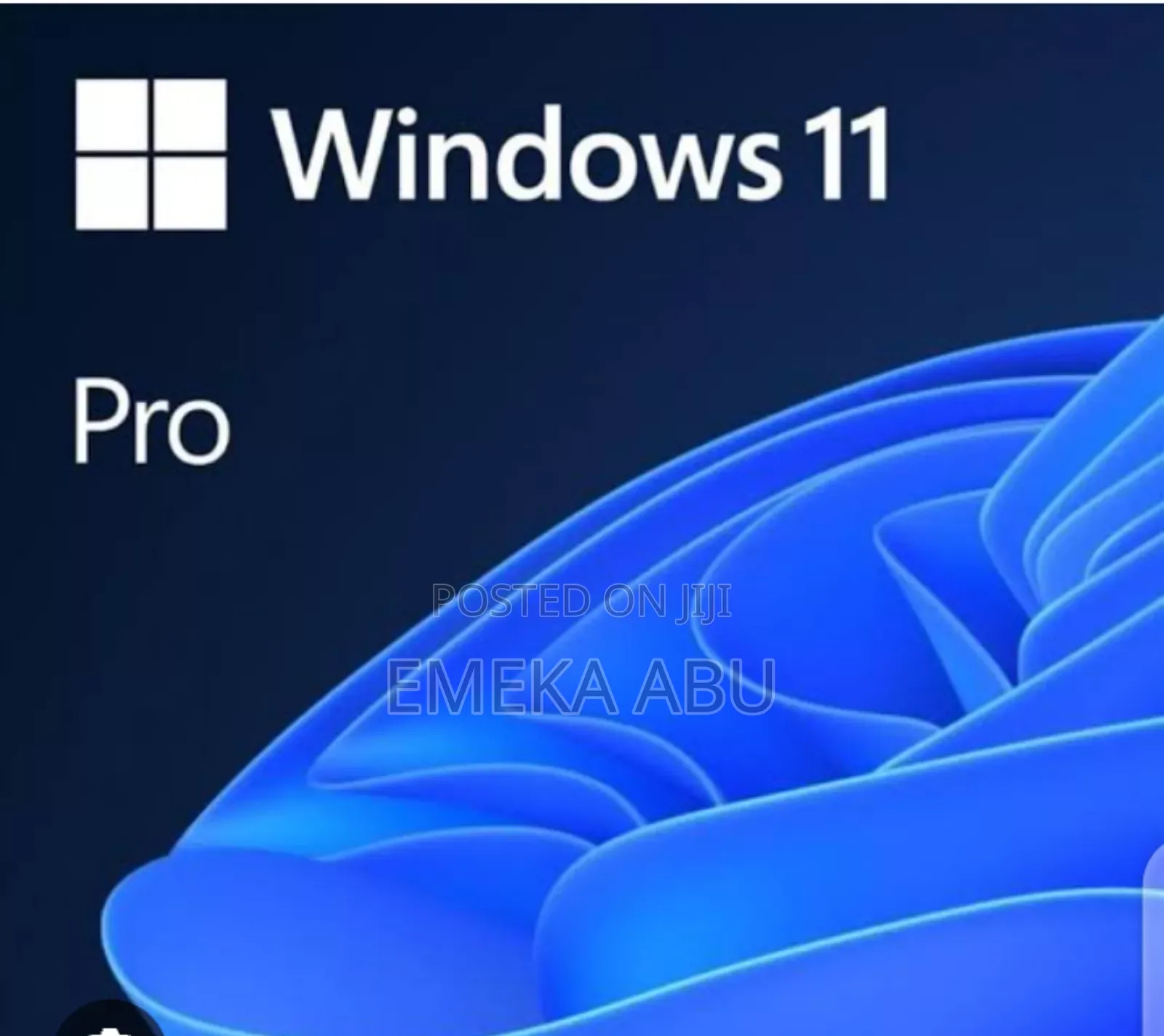 Windows 11 Pro and Home US Installed