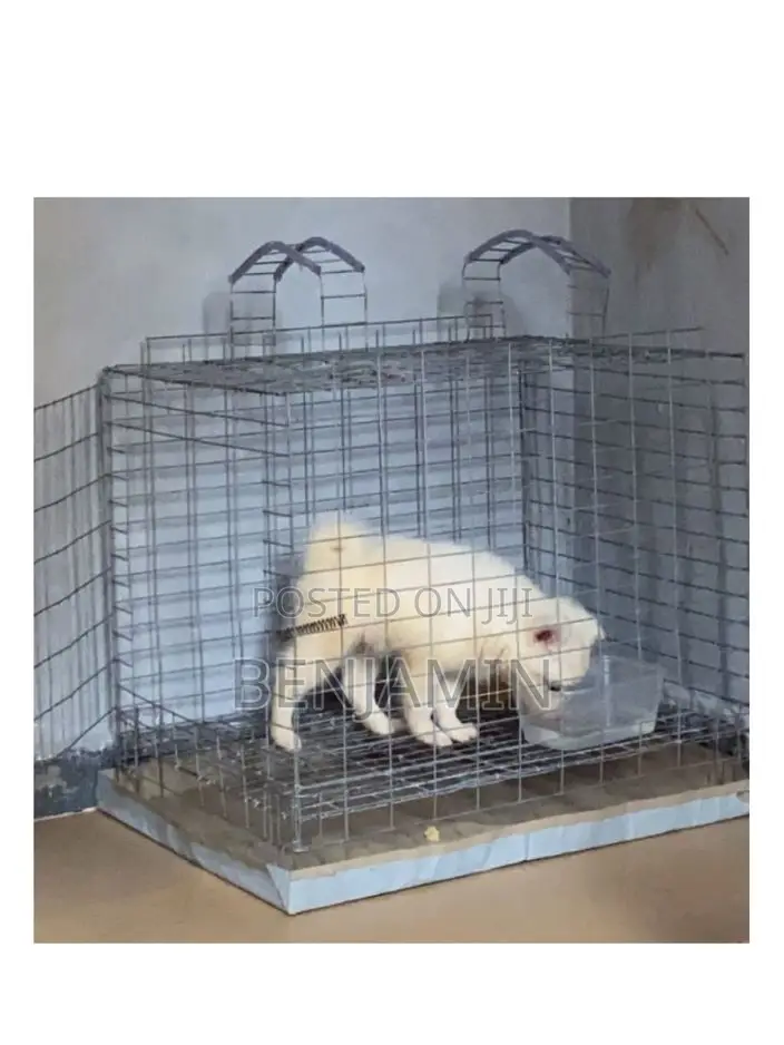 Non Collapsible Small Dog Cage
