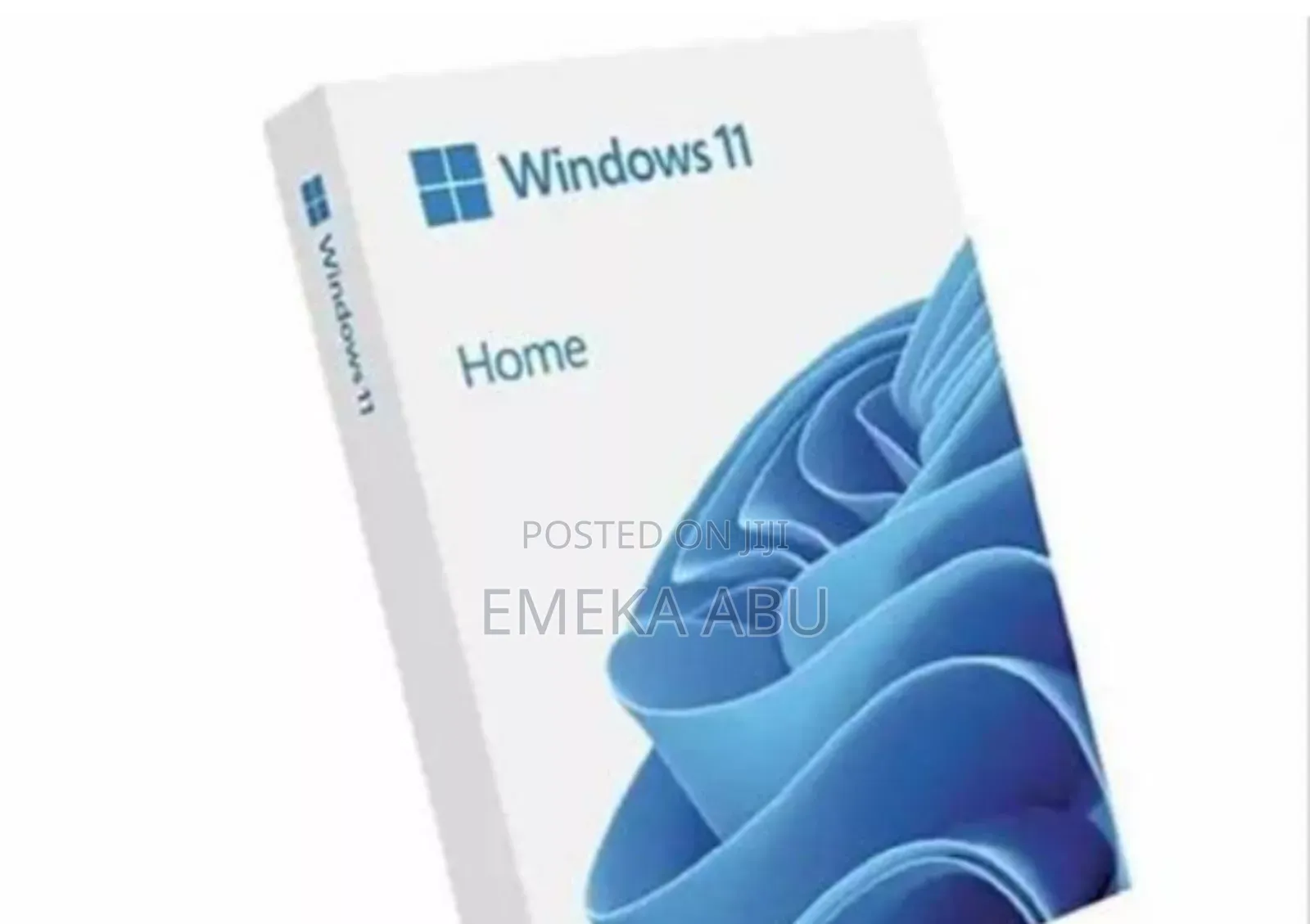 Windows 11 Pro and Home US Installed