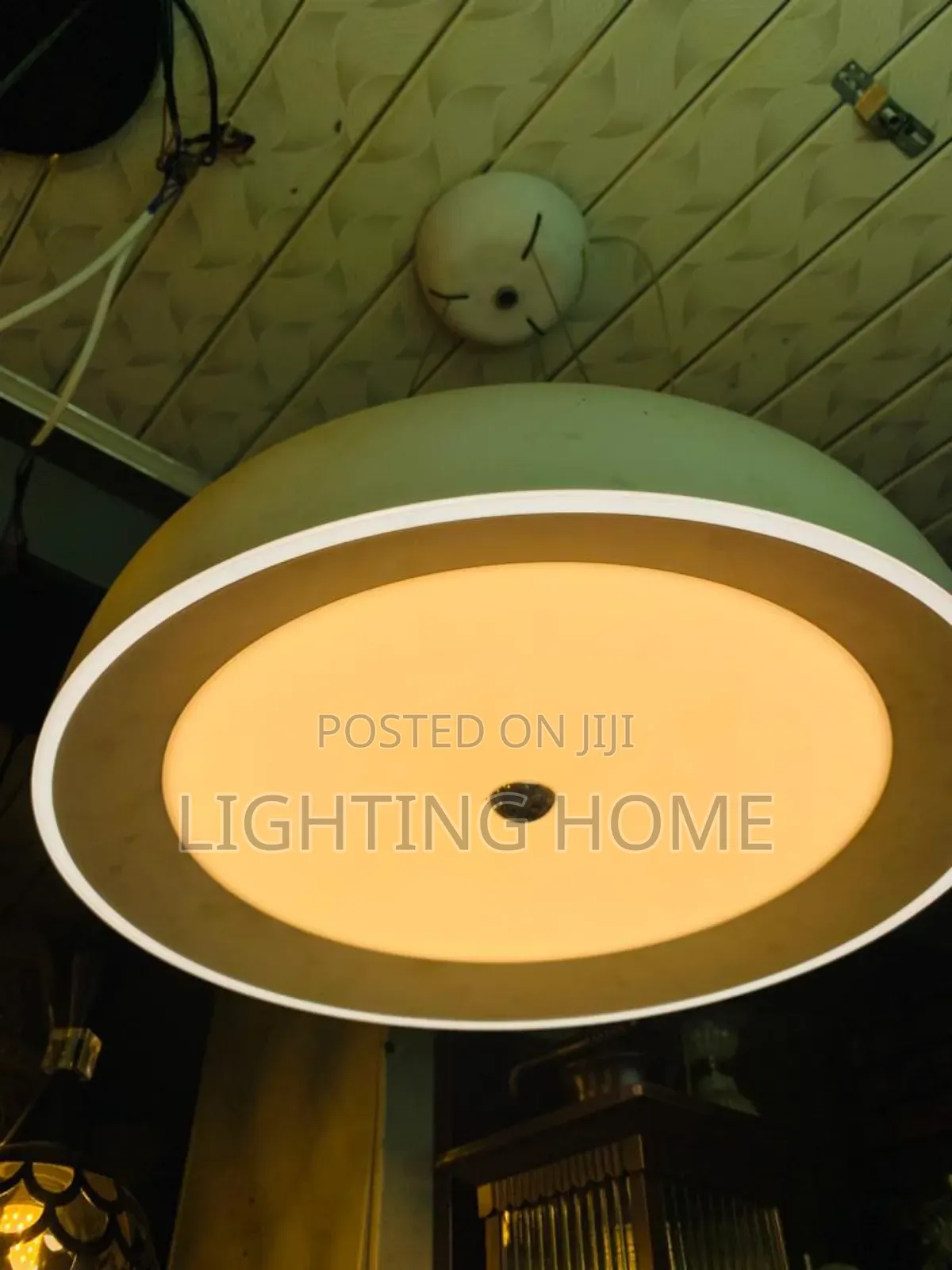 Led Drop Light