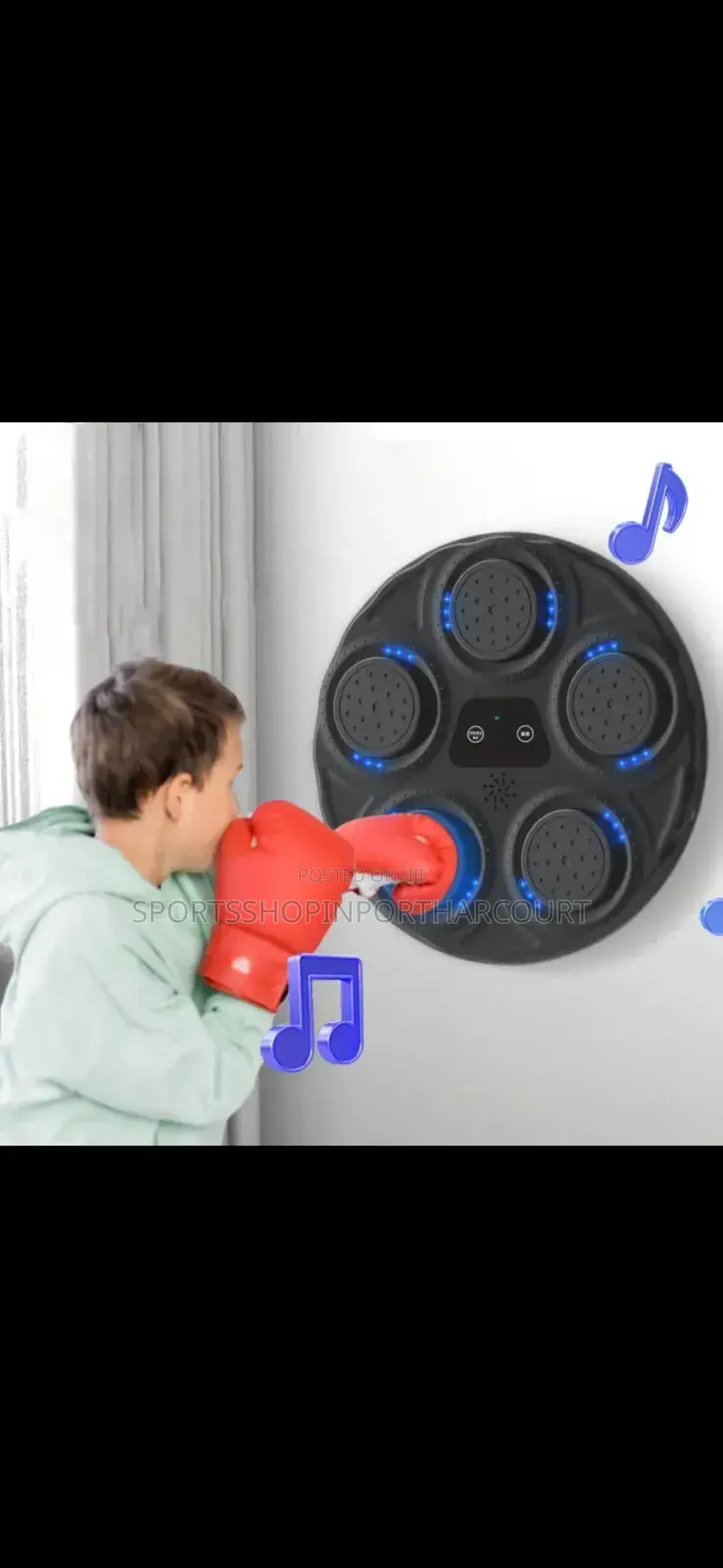 Music Boxing Target Board