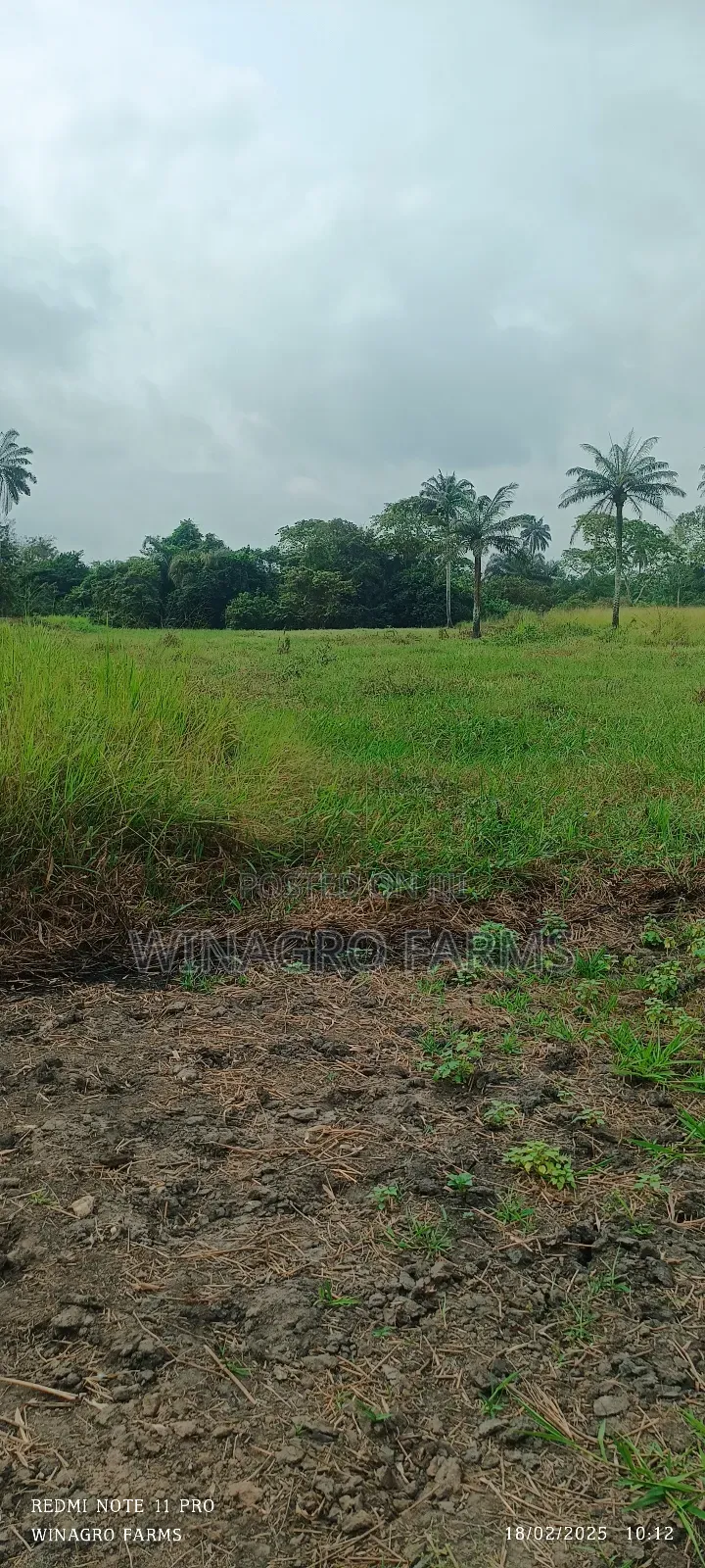 Massive Farm Lands for Sale in Abeokuta South