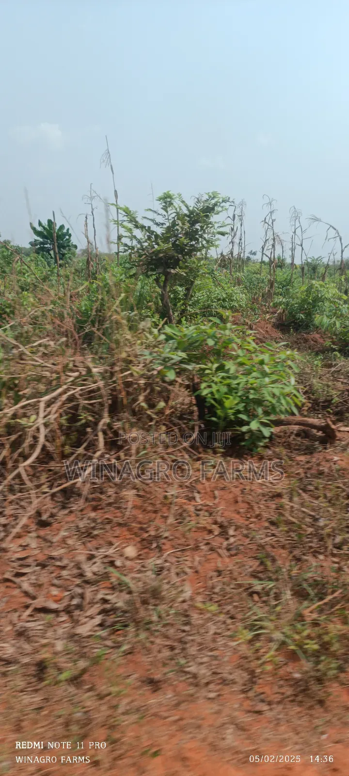 Massive Farm Lands for Sale in Abeokuta South