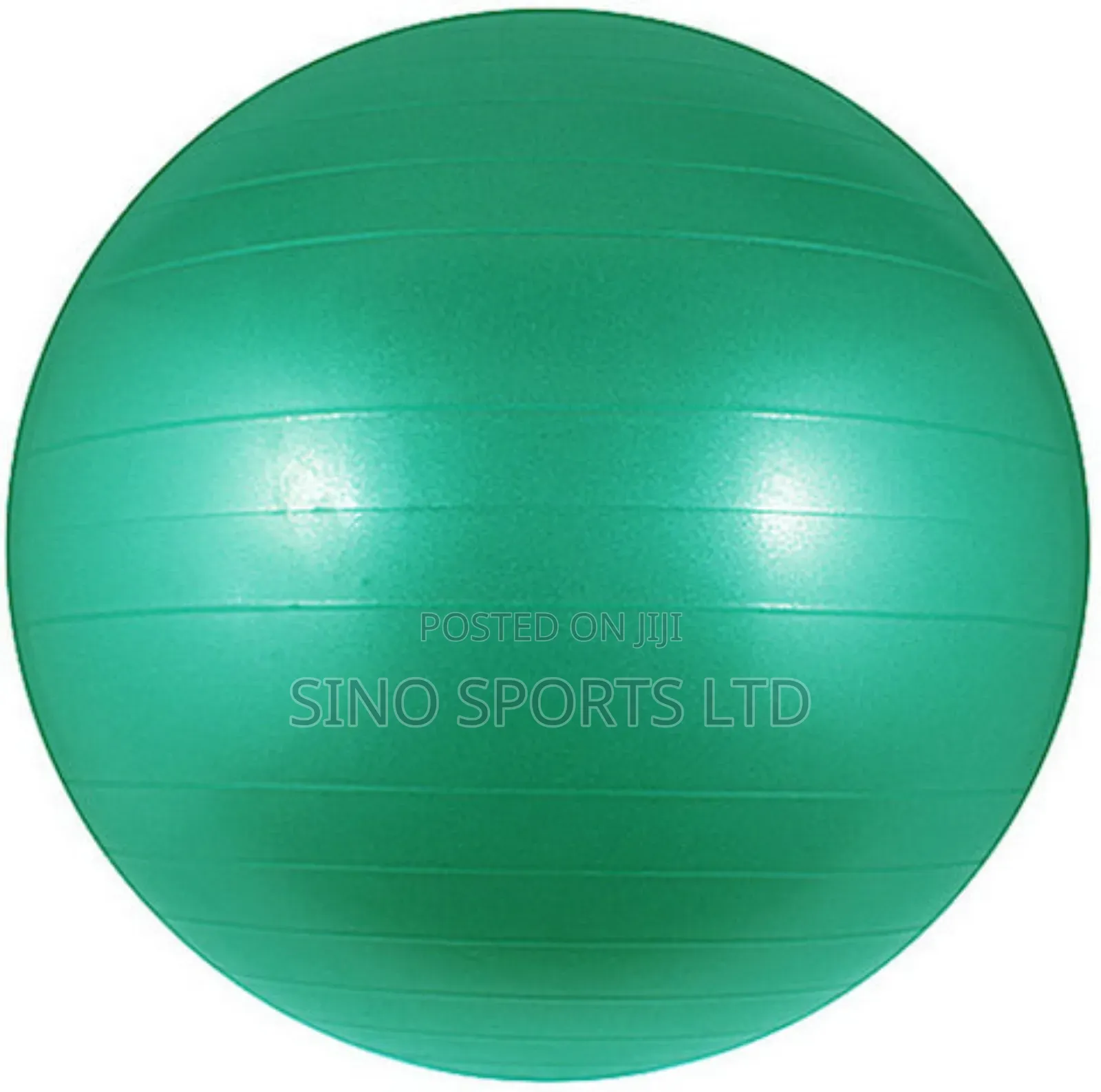 Gym Ball (65cm)