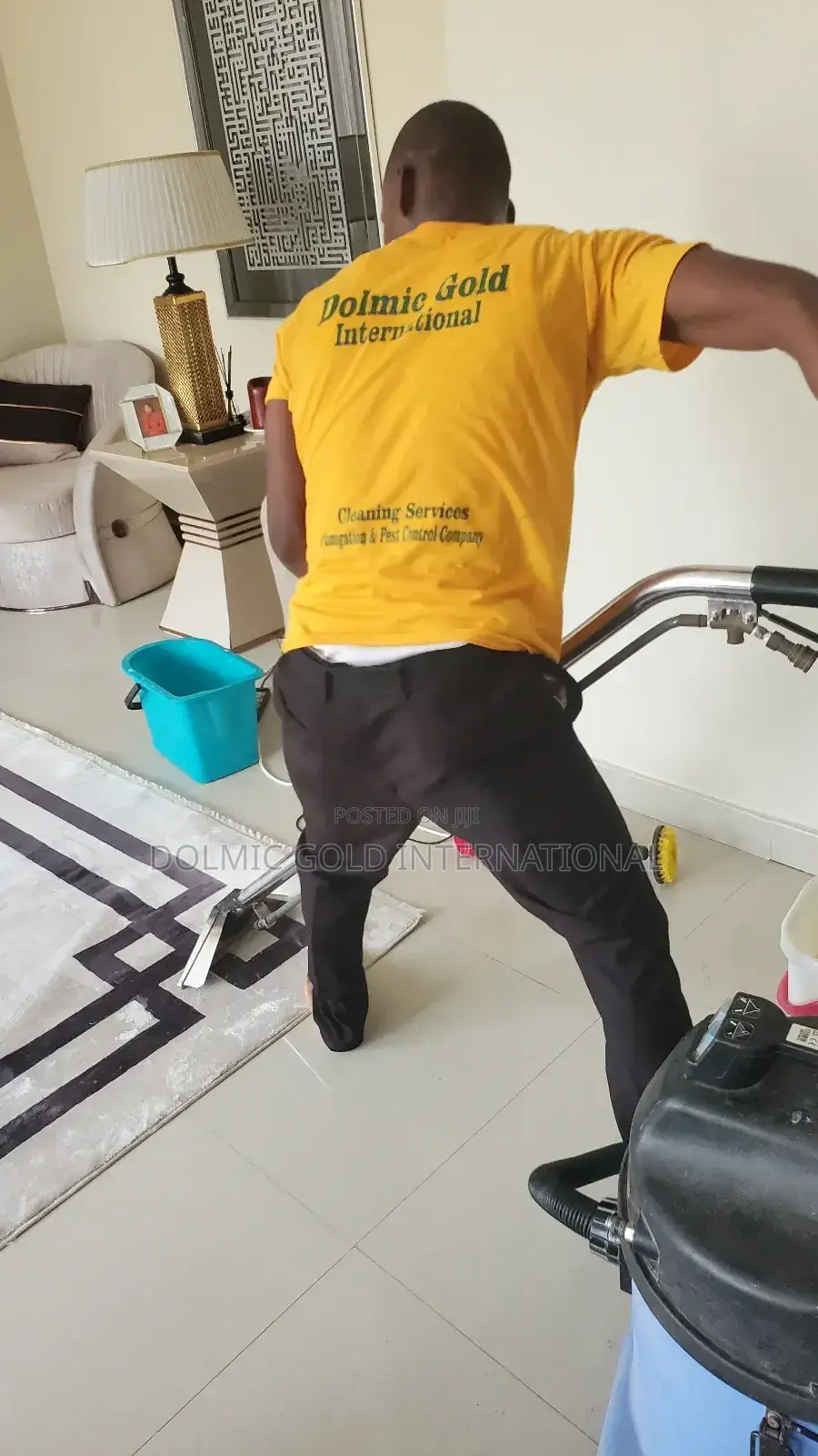 Professional In Rug And Carpet Cleaning.