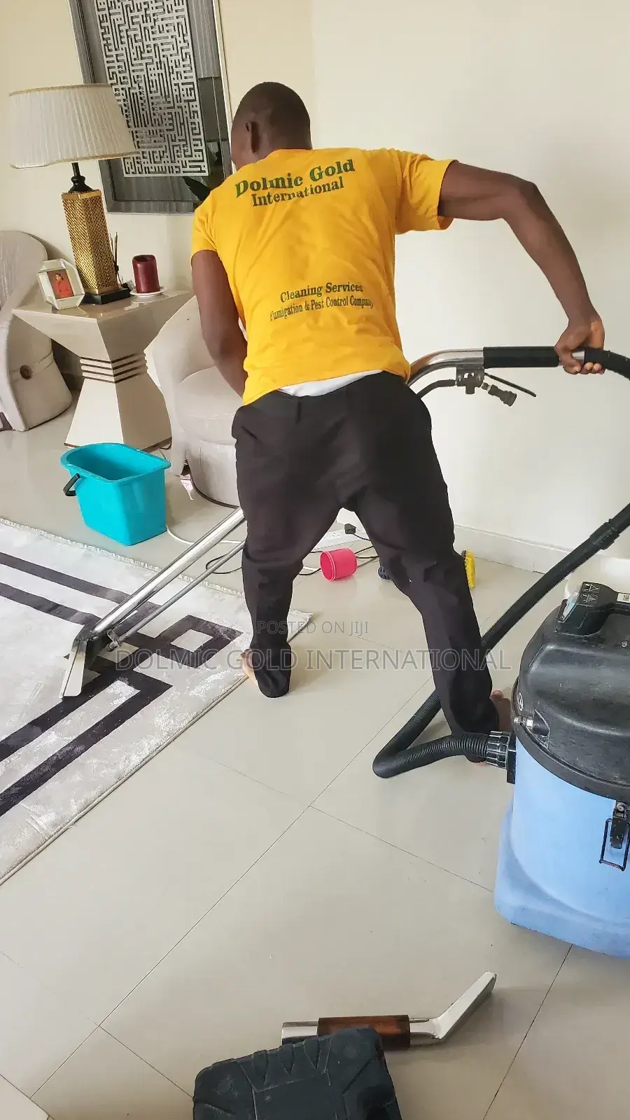 Professional In Rug And Carpet Cleaning.
