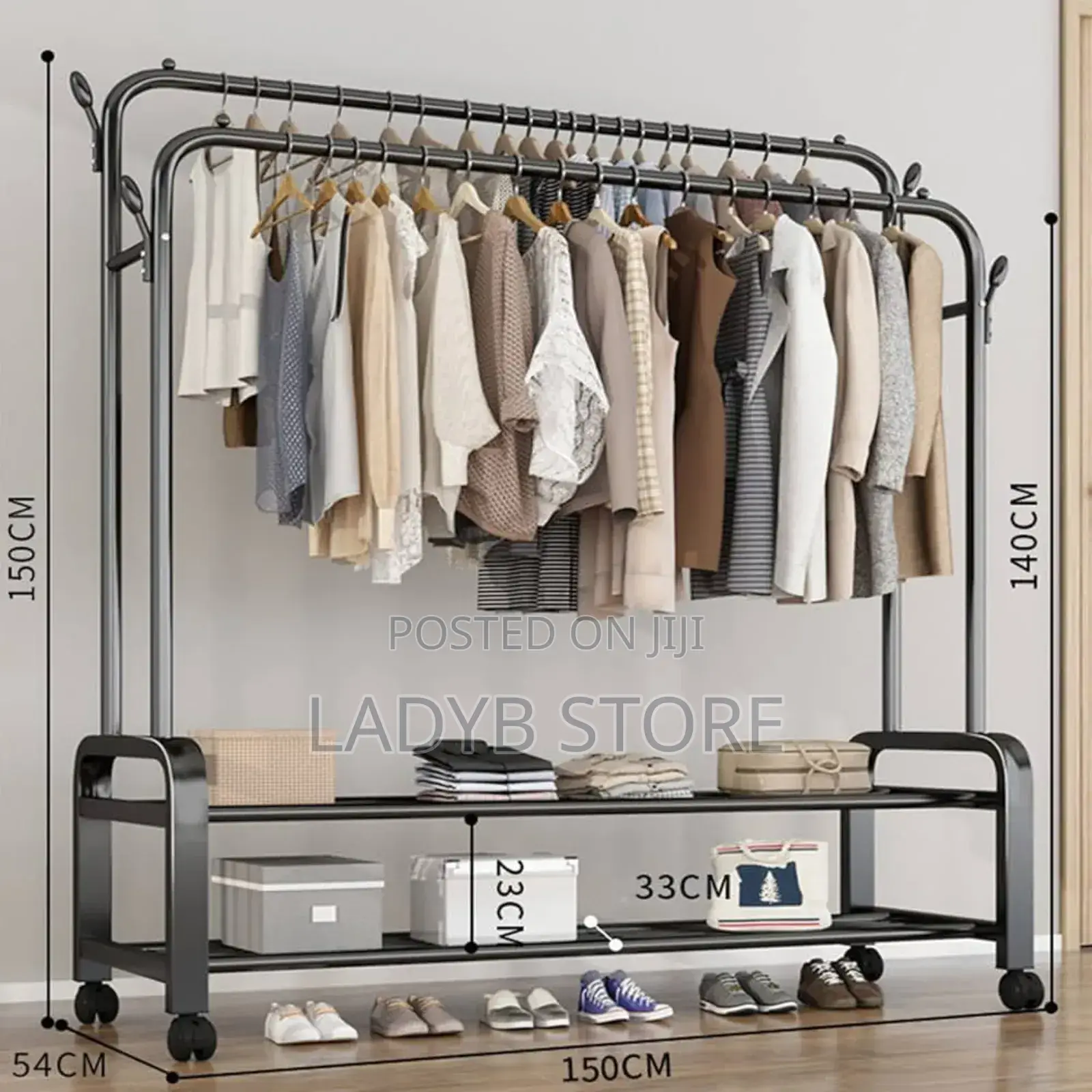 Double Layer Cloth and Shoe Rack