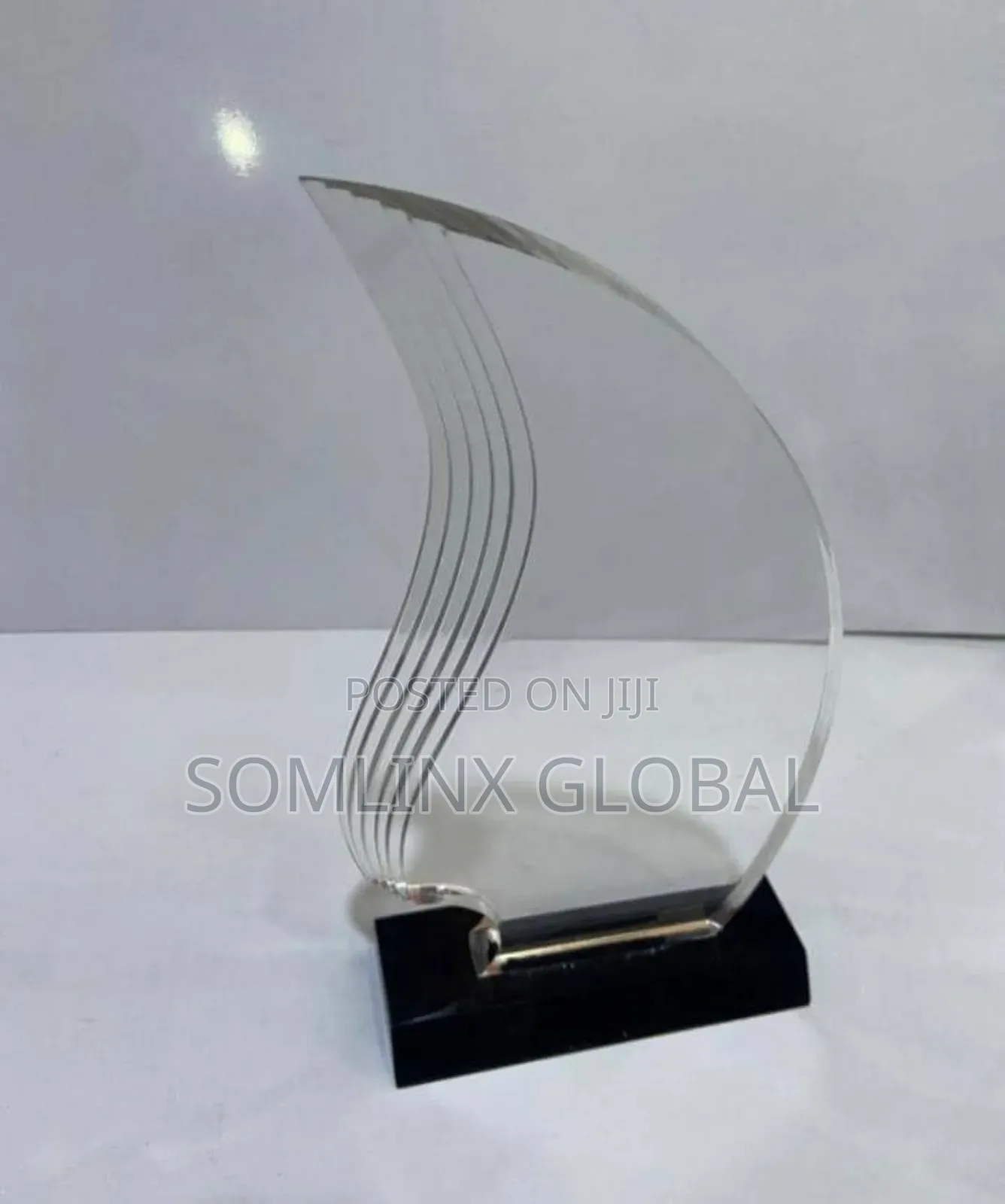 Acrylic Plaque, Mango Shape