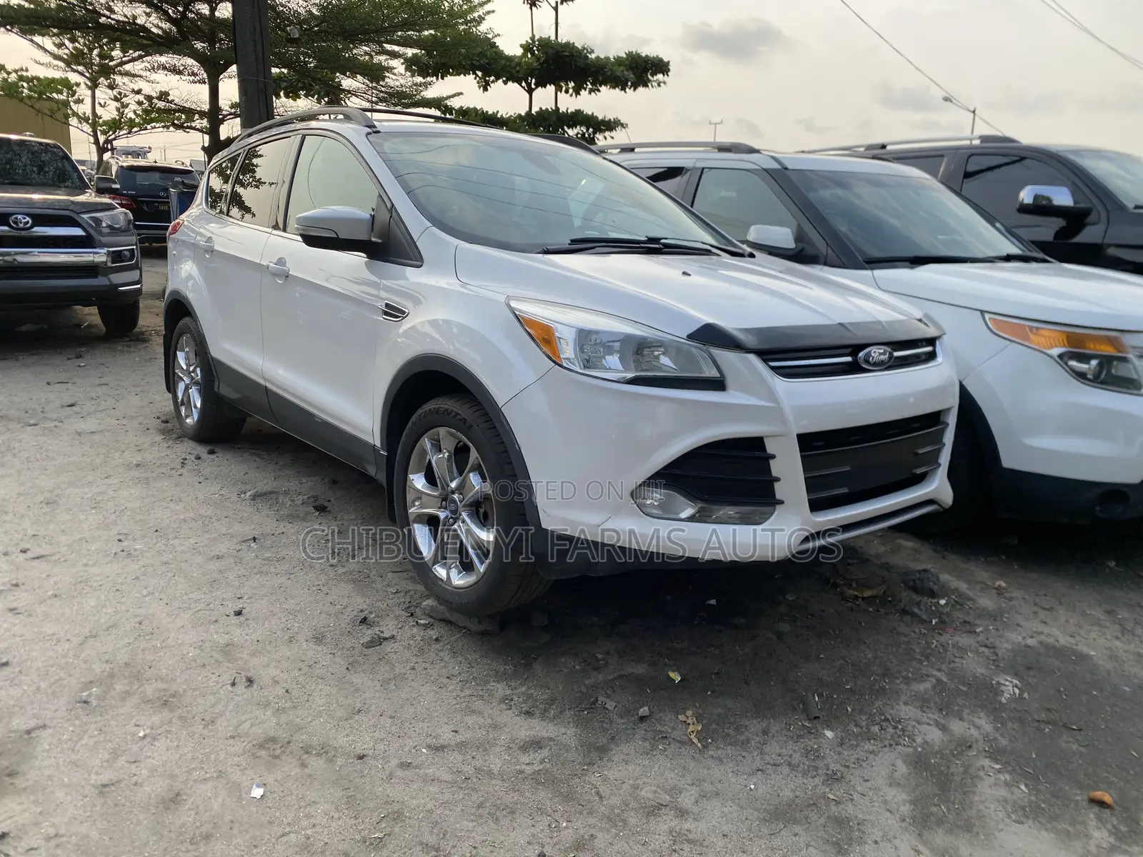 Ford Escape 2013 White