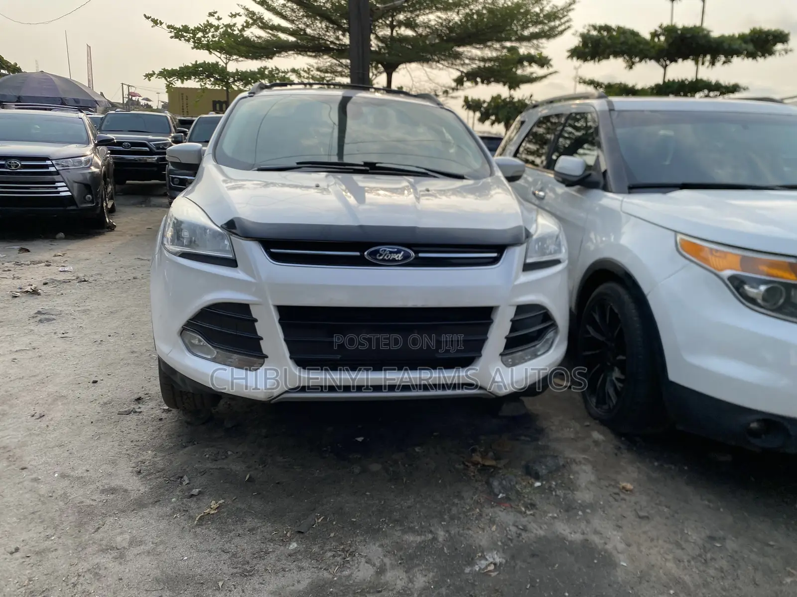Ford Escape 2013 White