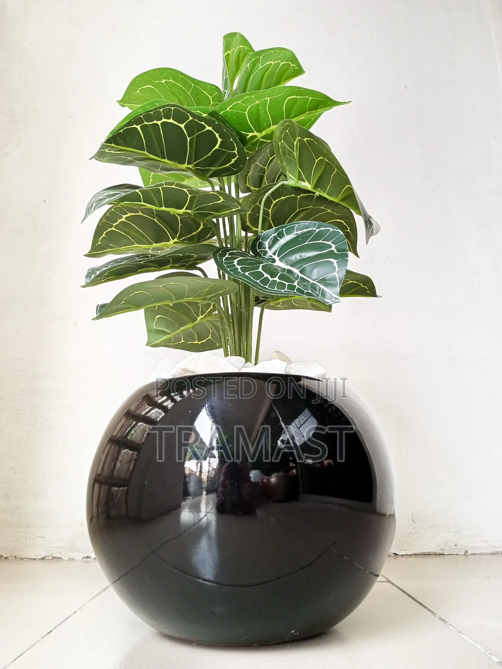 Artificial Taro Mini Potted Plant Black Ball Fiberglass Pot