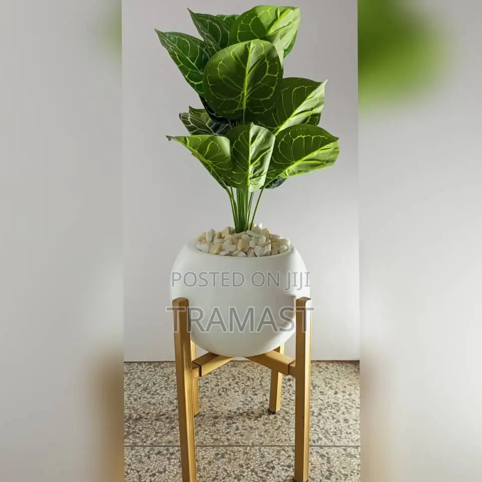 Metal Stand + Box Fiberglass Pot – 120cm in Height