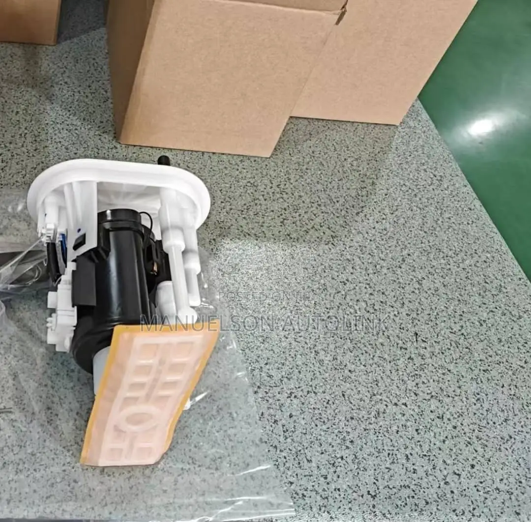 Complete Fuel Pump Santafe 1999-2004