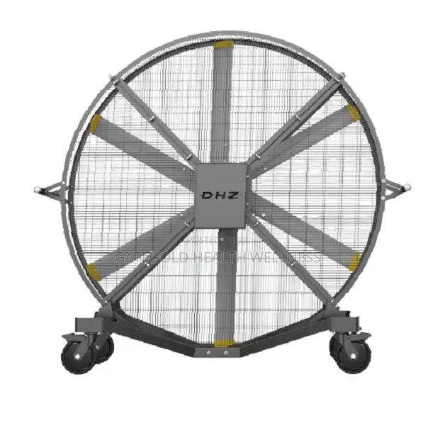Gym Fan (Dhz Brand) Fs300p