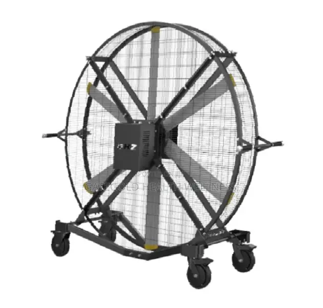 Gym Fan (Dhz Brand) Fs300p