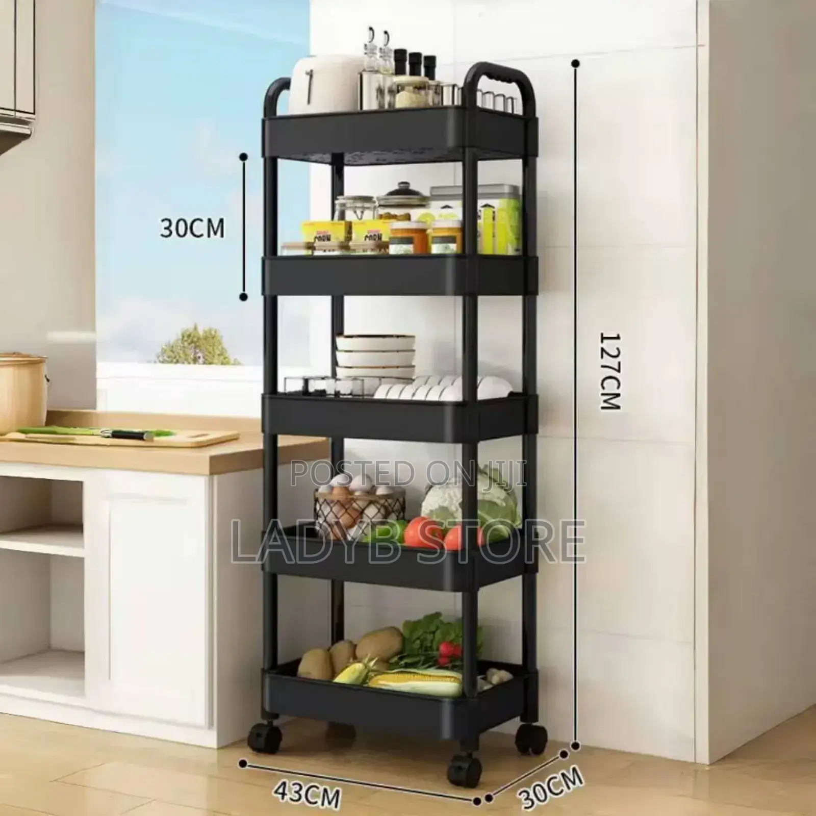 5layers Plastic Trolley