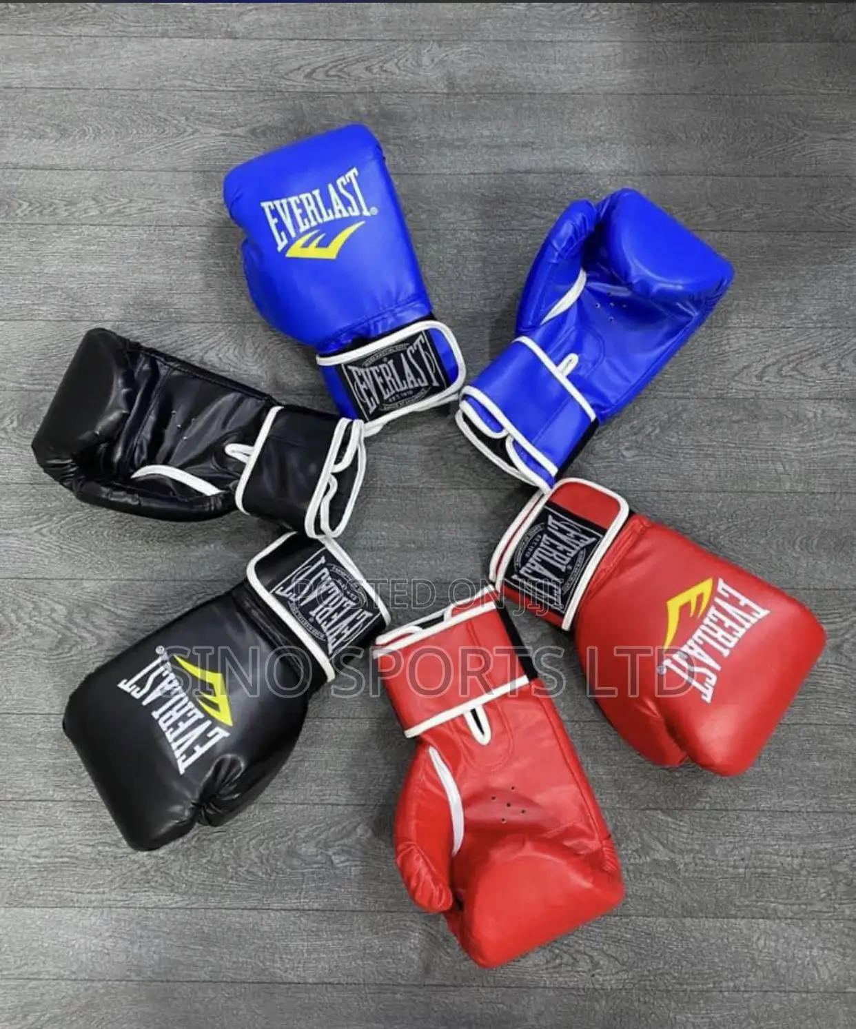 Everlast Boxing Gloves
