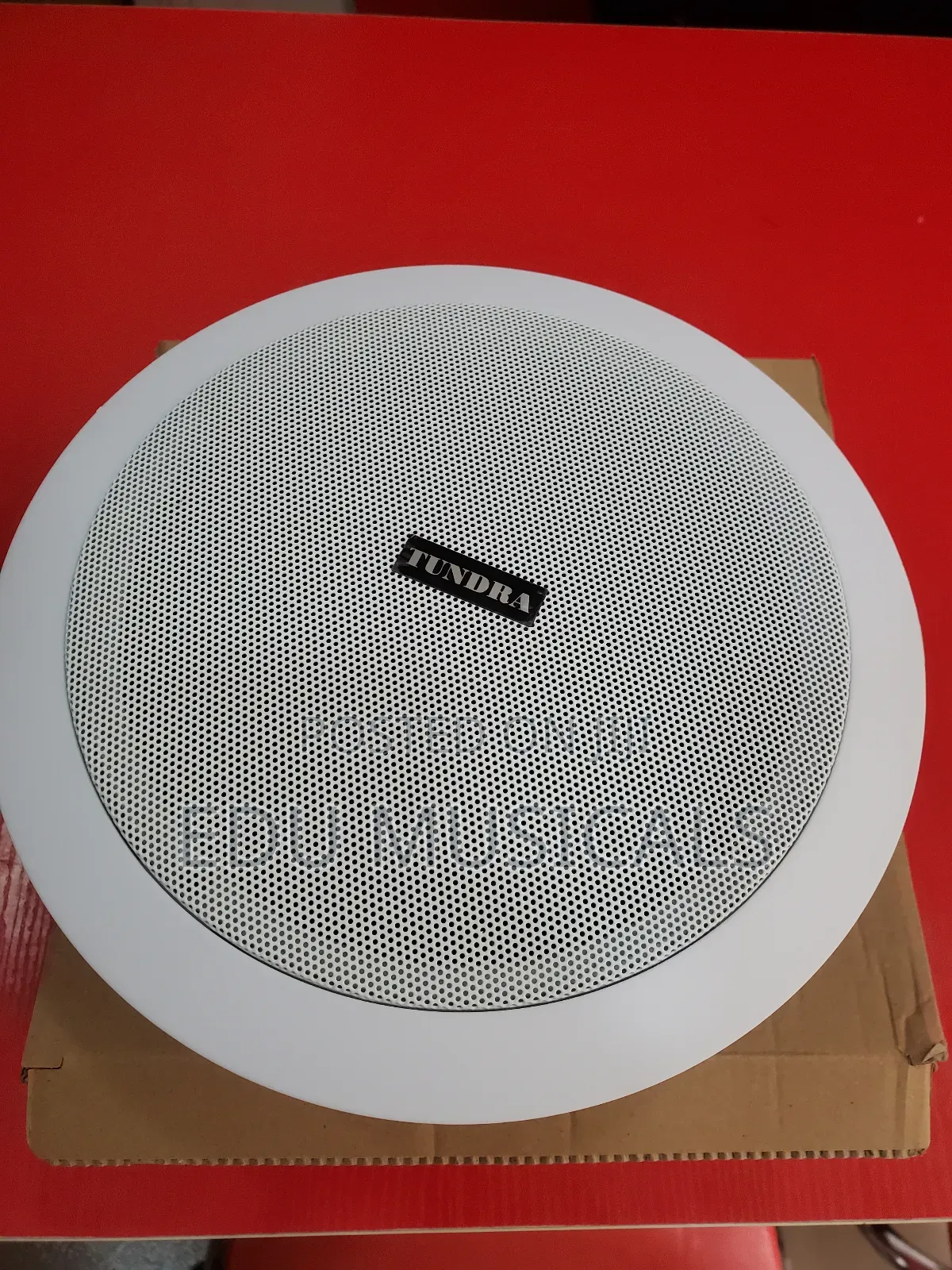 Ceiling Speaker