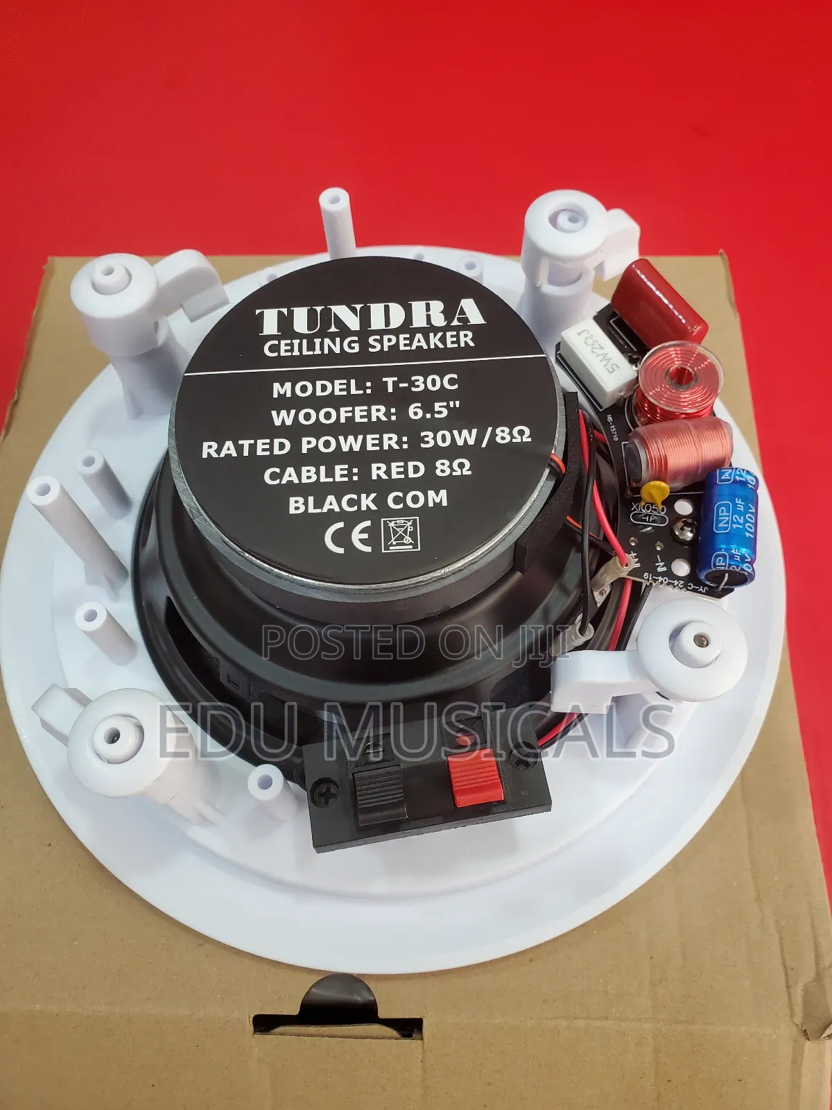 Ceiling Speaker
