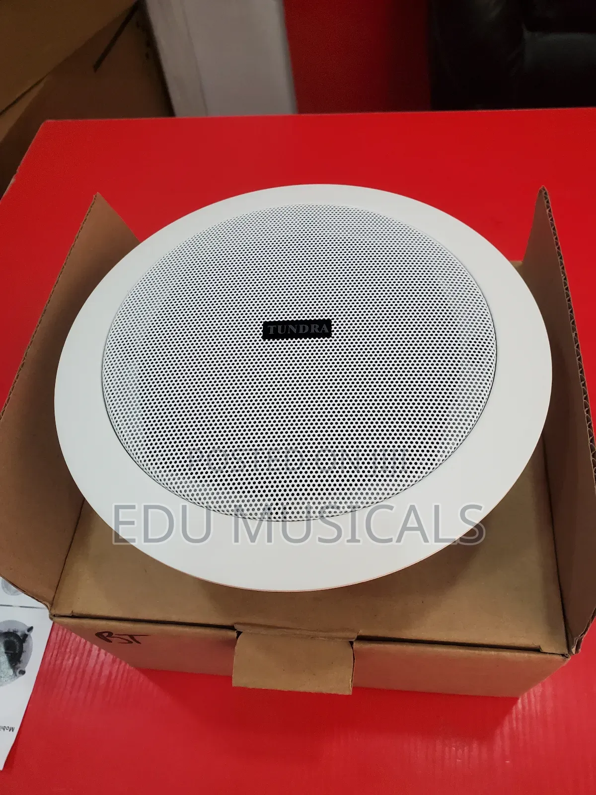 Ceiling Speaker