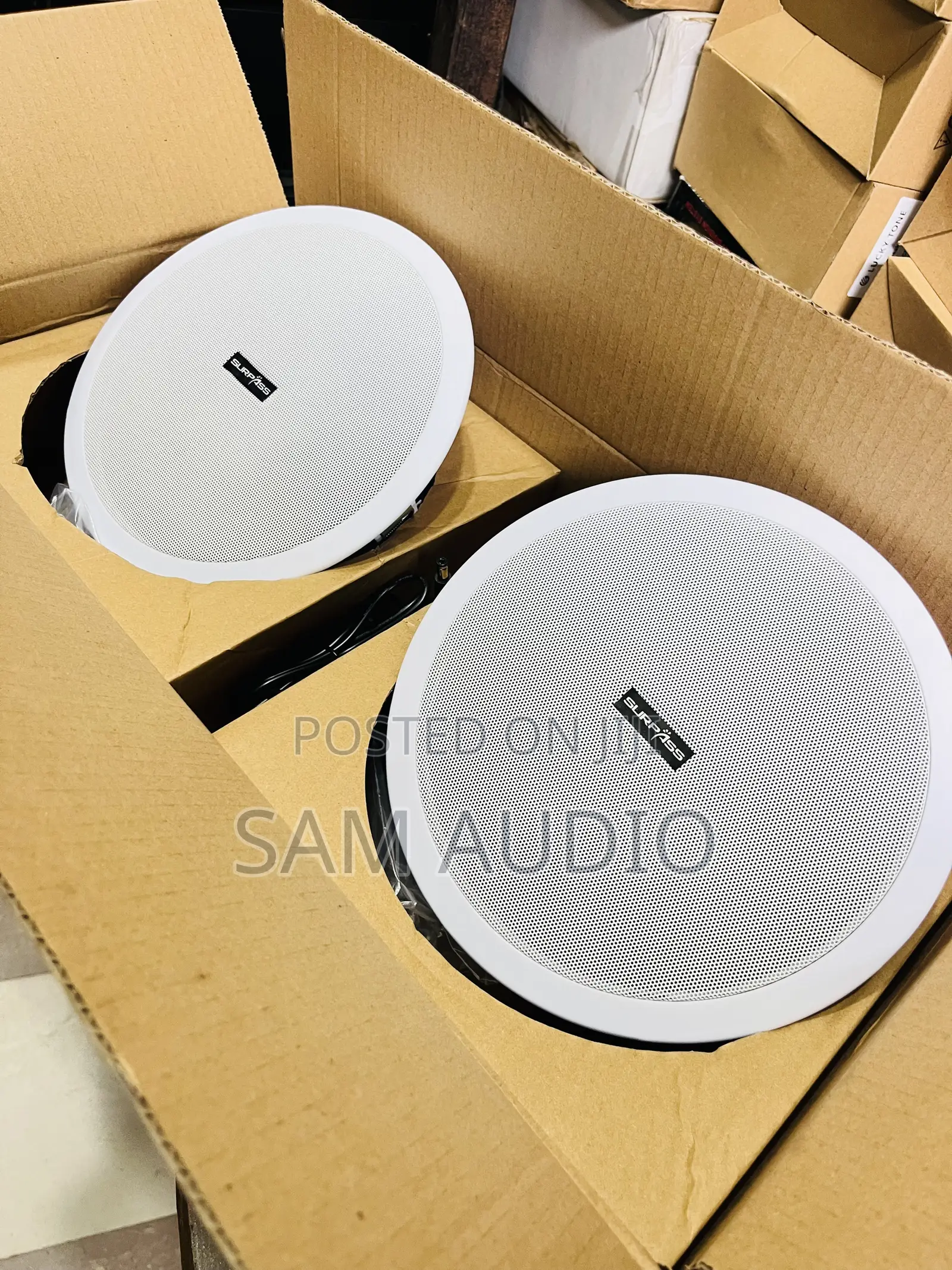 2 In 1 Surpass Bluetooth Speaker
