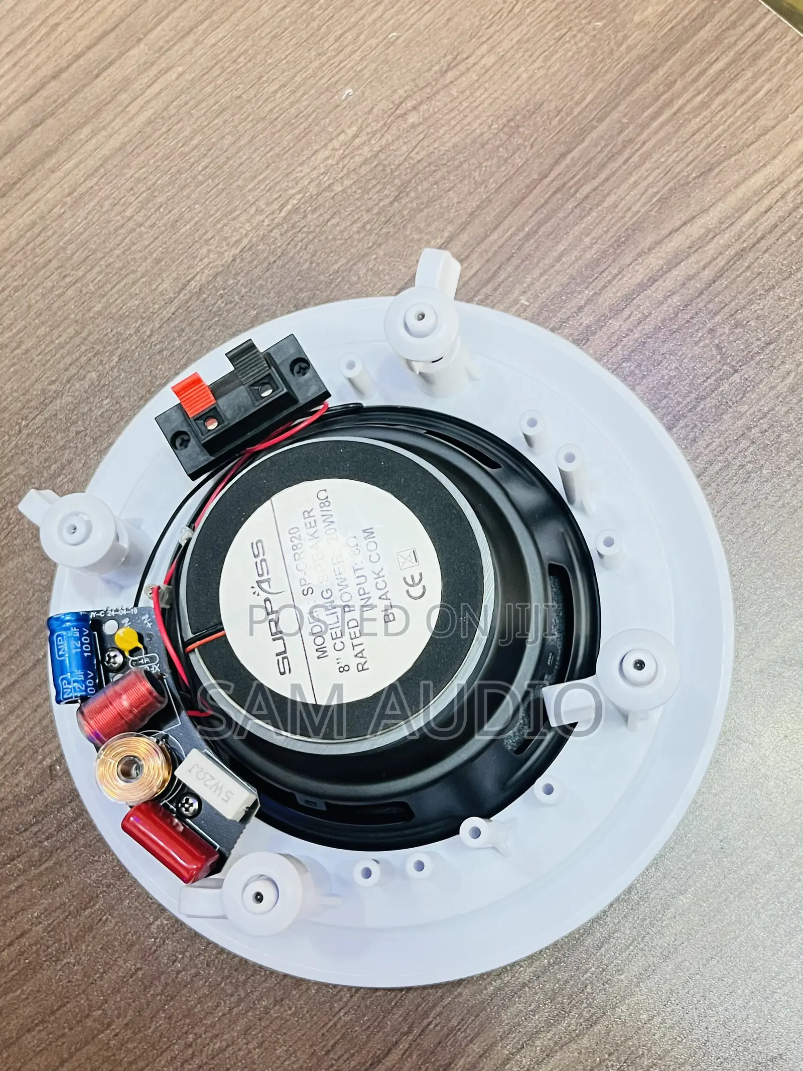 Surpass Ceiling Speaker 30watts