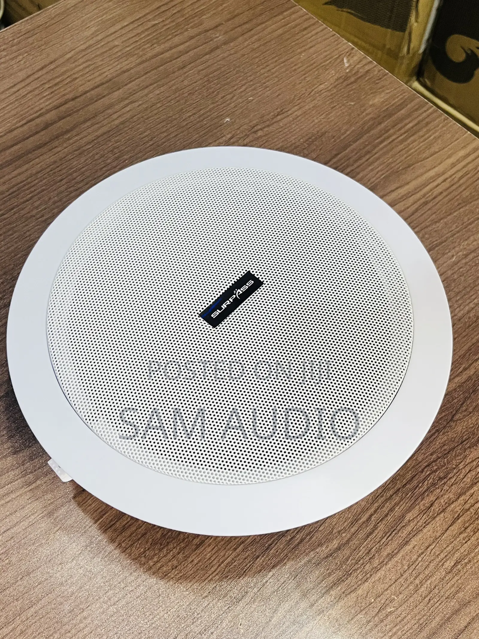 Surpass Ceiling Speaker 30watts
