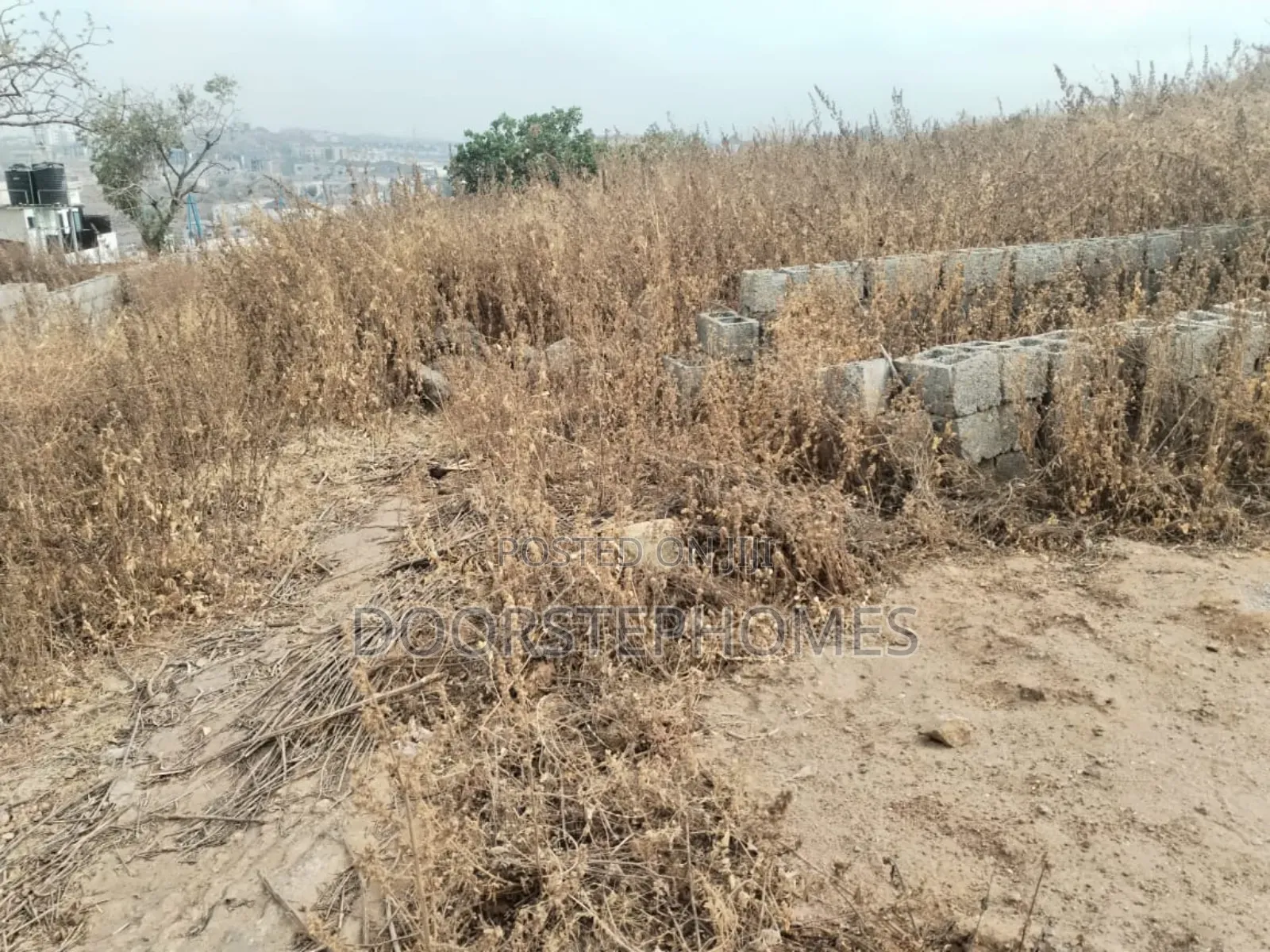 15.45 Hectares of Land in Apo Wasa for Sale