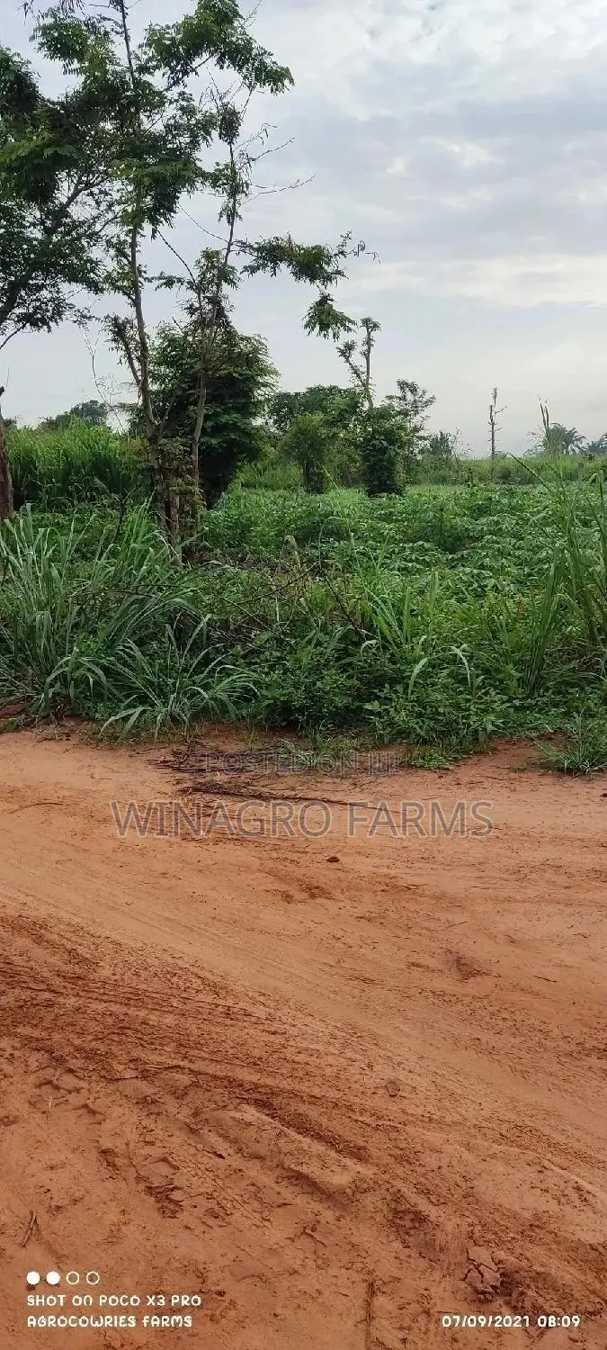 For Sale;Land Specially for Agriculture in Ogun